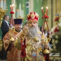 архиепископ Петергофский Амвросий